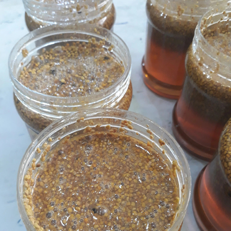 معجون گرده گل و عسل بمب انرژی پاچیل 500گرمی