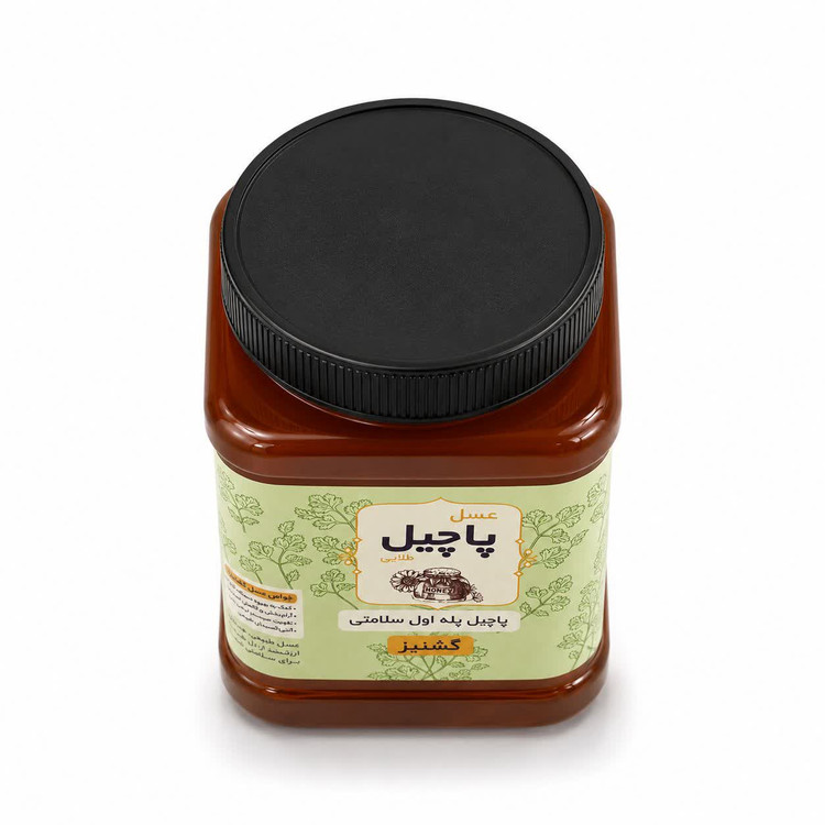 عسل گشنیز 1000گرمی پاچیل