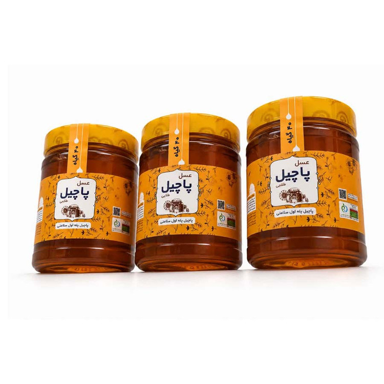 عسل چند گیاه 3کیلویی (3عدد 1کیلویی)