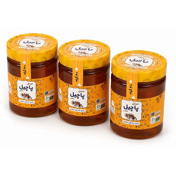 عسل چند گیاه 3کیلویی (3عدد 1کیلویی)